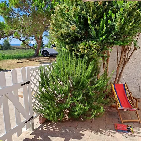 Cala Di Seta - Ambra *