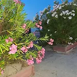 Appartement Cala Di Seta - Ambra