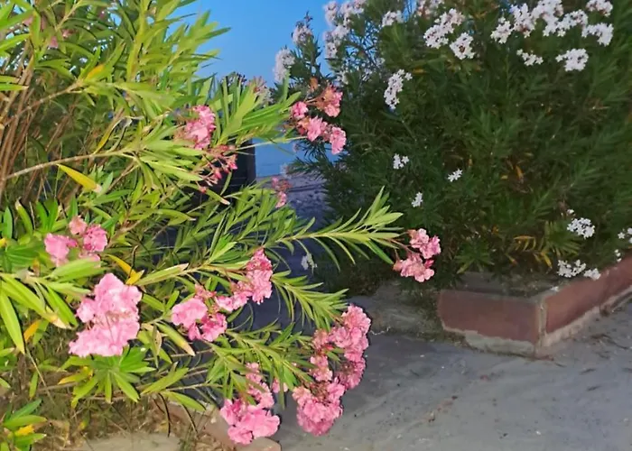 Apartment Cala Di Seta - Ambra